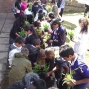 CLICK HERE TO SEE PHOTOGRAPHS OF OUR COMMUNITY PLANTING DAY 7TH JULY 2010